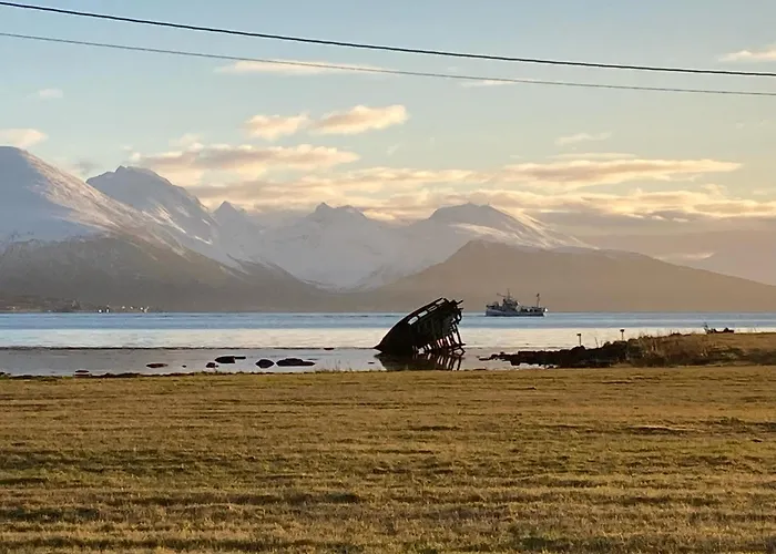 Drengstua