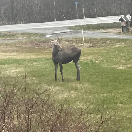 Prázdninový dům Drengstua Kvaloya